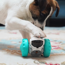 Interactive Dog Puzzle Toy