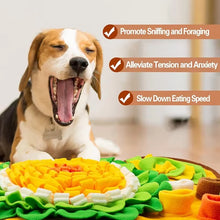 Interactive Dog Sniffing Mat