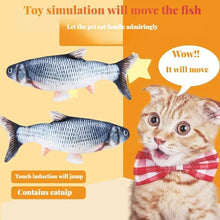 Floppy Fish Toy for Cats  USB‑Rechargeable